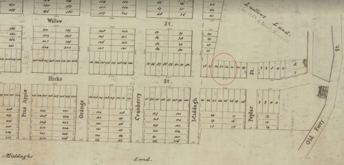 Hicks map 1806